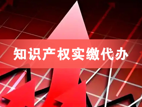 荣成知识产权实缴资本代办